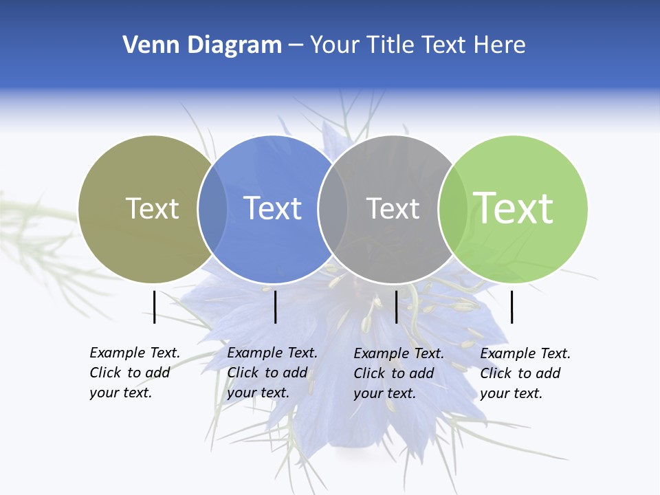 Caraway Flora Spice PowerPoint Template