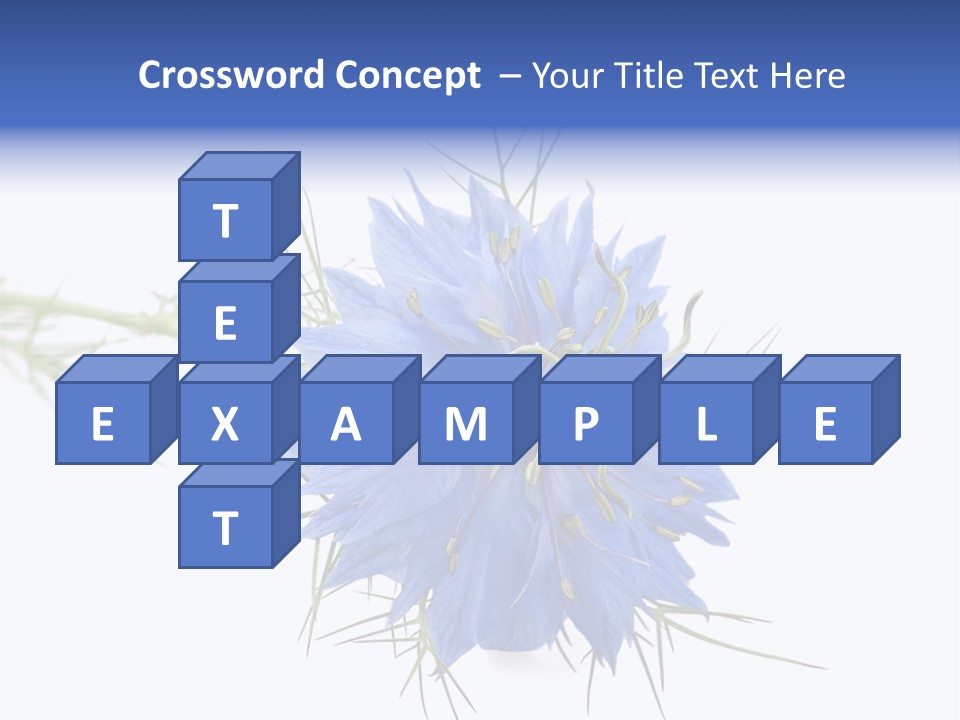 Caraway Flora Spice PowerPoint Template