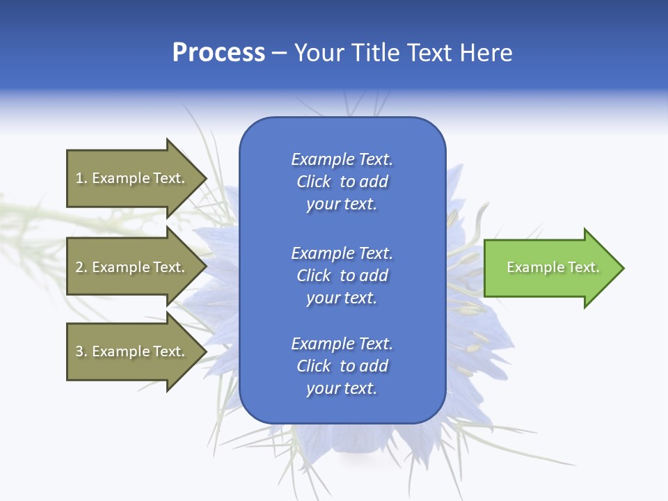 Caraway Flora Spice PowerPoint Template