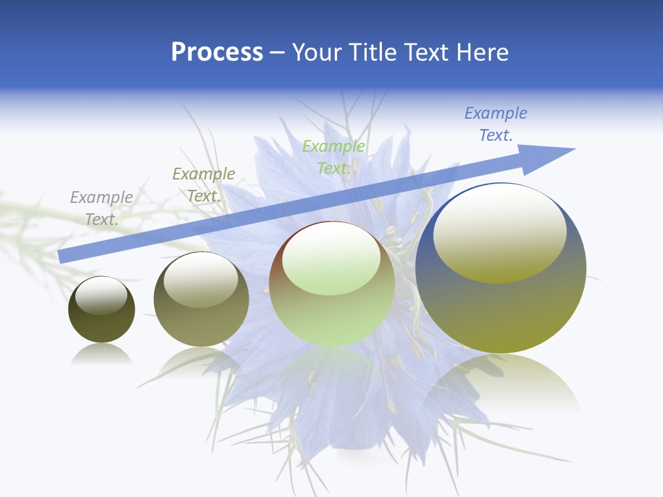 Caraway Flora Spice PowerPoint Template