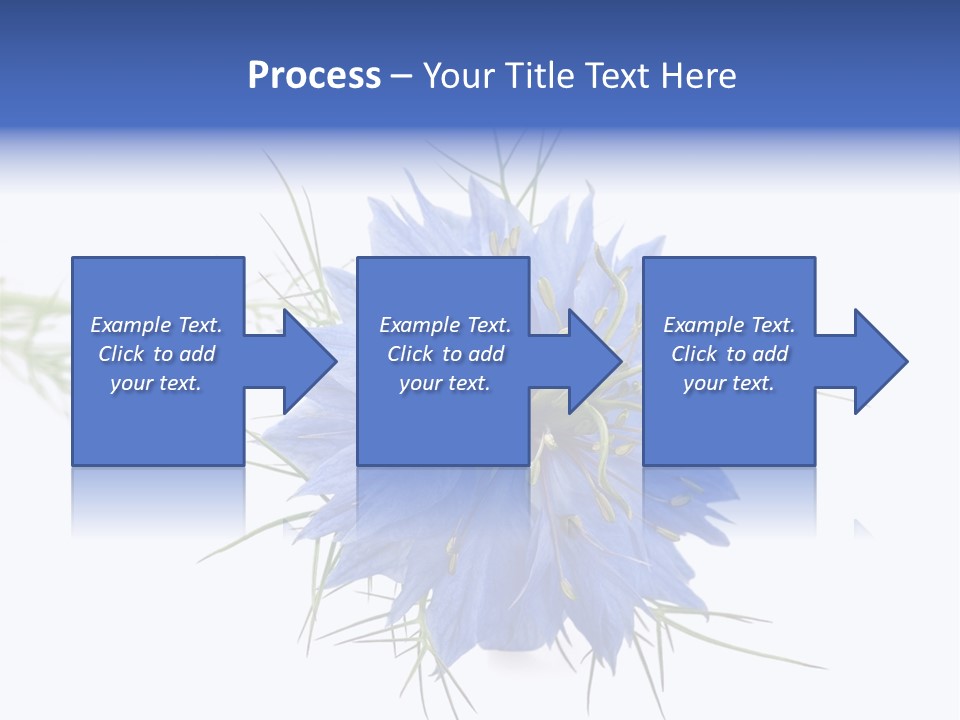 Caraway Flora Spice PowerPoint Template