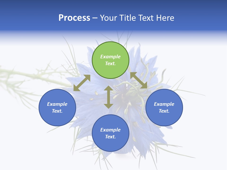 Caraway Flora Spice PowerPoint Template