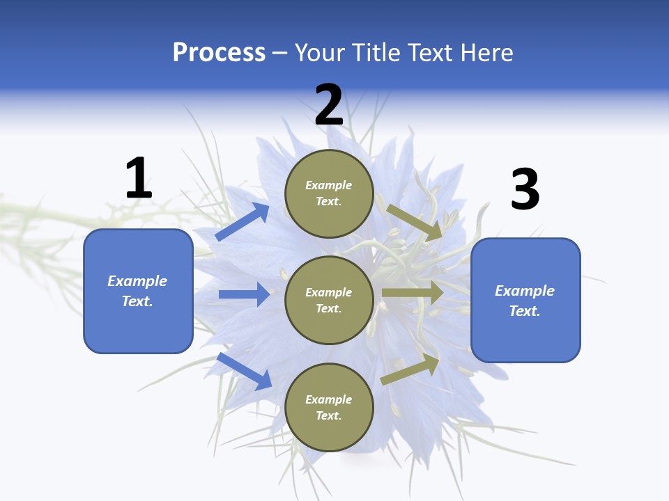 Caraway Flora Spice PowerPoint Template