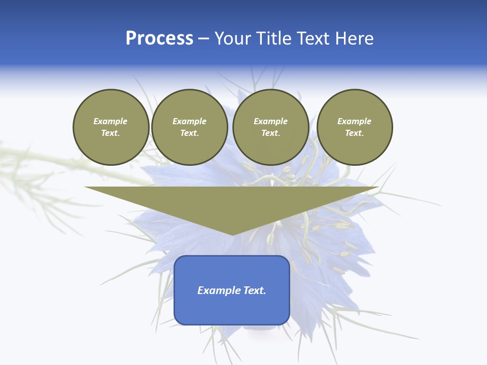 Caraway Flora Spice PowerPoint Template