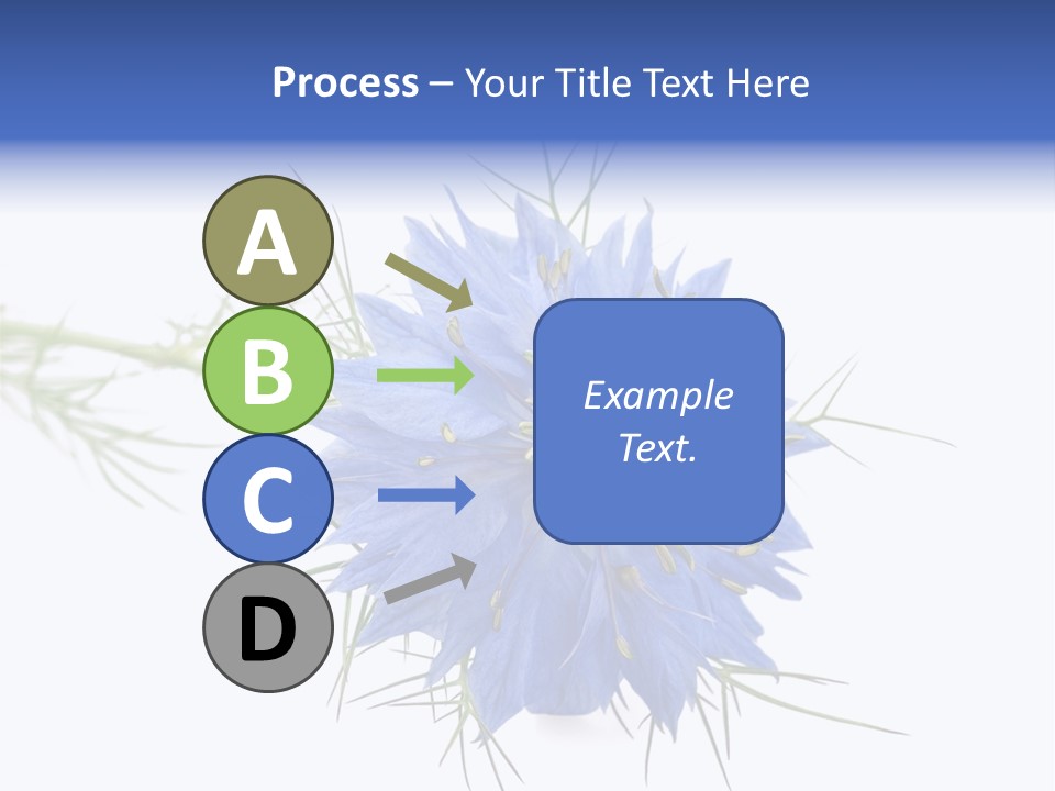 Caraway Flora Spice PowerPoint Template