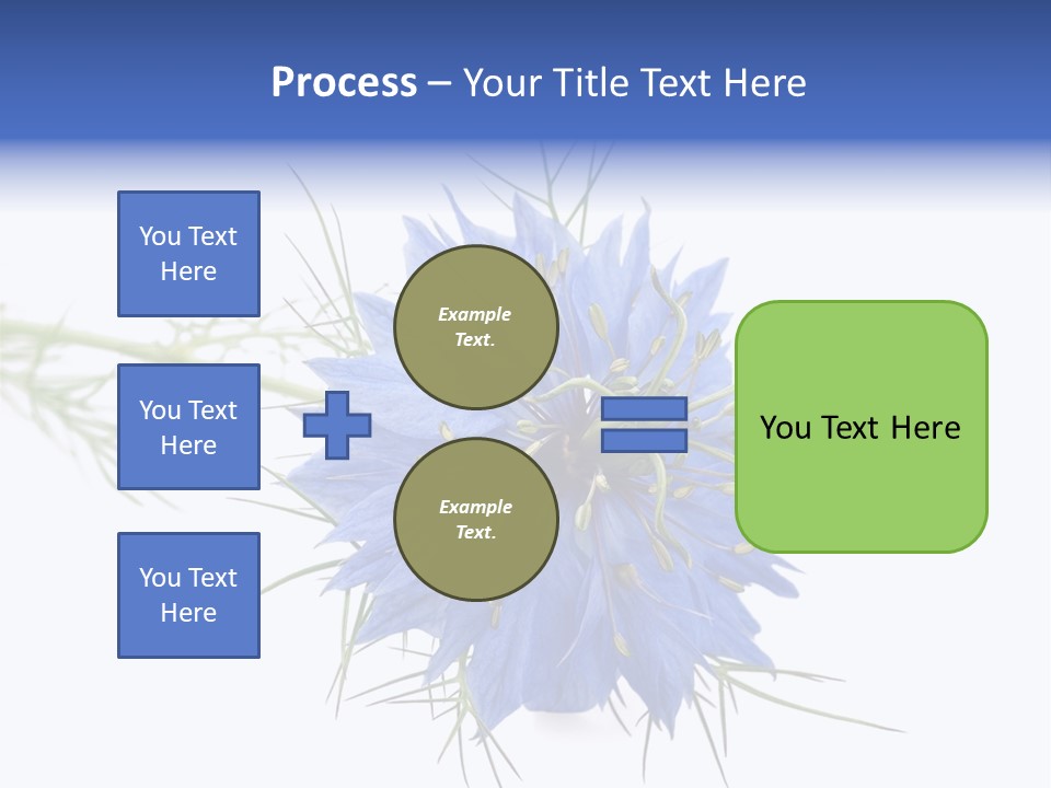 Caraway Flora Spice PowerPoint Template