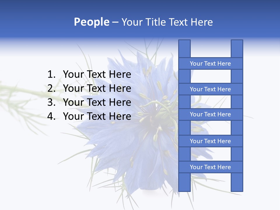 Caraway Flora Spice PowerPoint Template