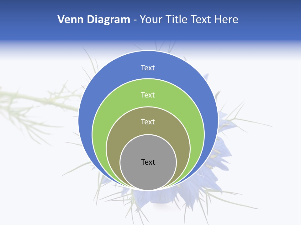 Caraway Flora Spice PowerPoint Template