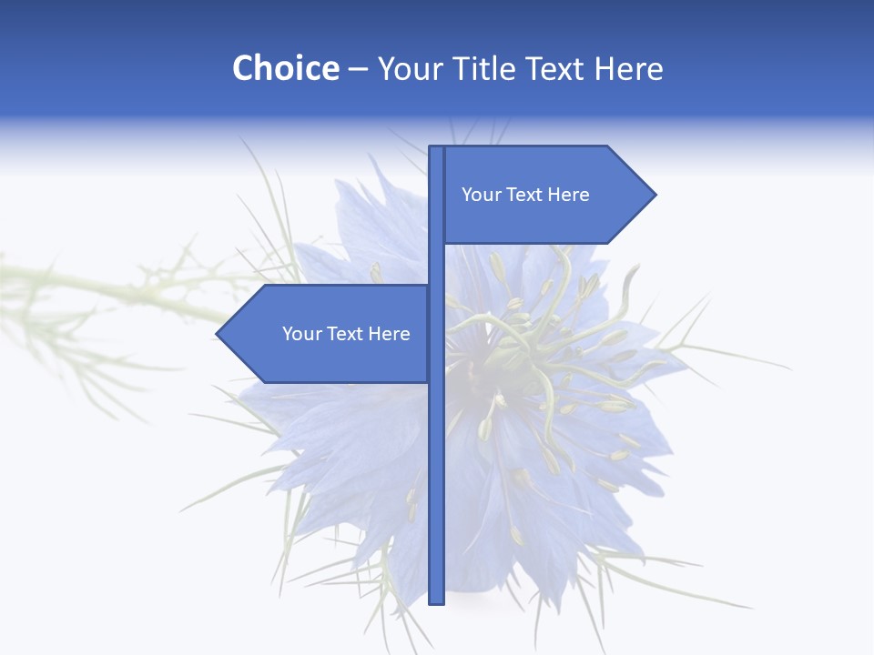 Caraway Flora Spice PowerPoint Template