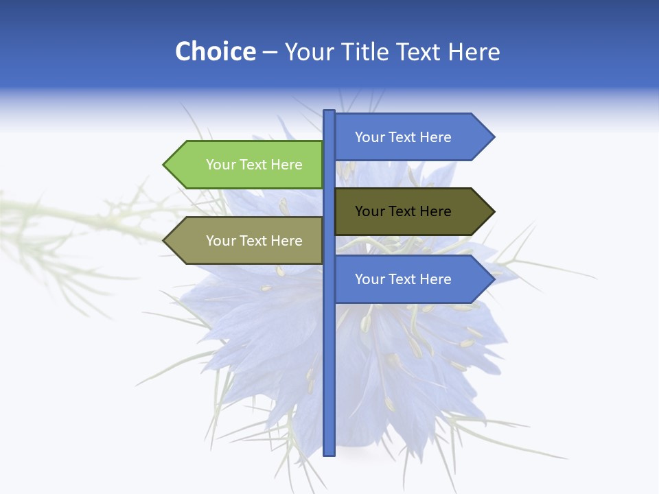 Caraway Flora Spice PowerPoint Template