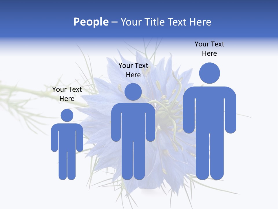 Caraway Flora Spice PowerPoint Template