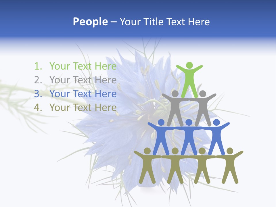 Caraway Flora Spice PowerPoint Template