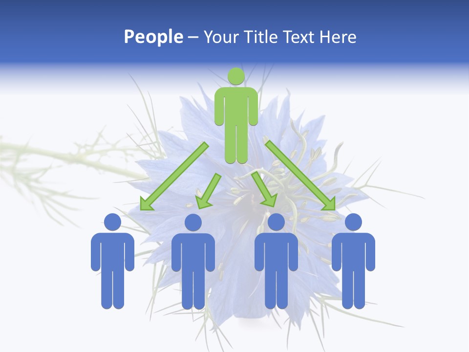 Caraway Flora Spice PowerPoint Template