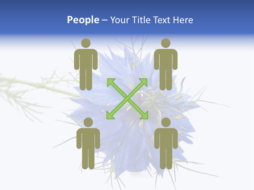 Caraway Flora Spice PowerPoint Template