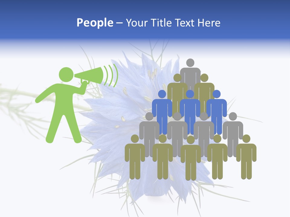 Caraway Flora Spice PowerPoint Template