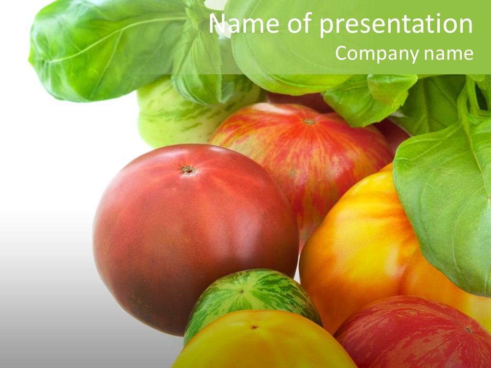 Vegetarian Basil Leaves Freshness PowerPoint Template