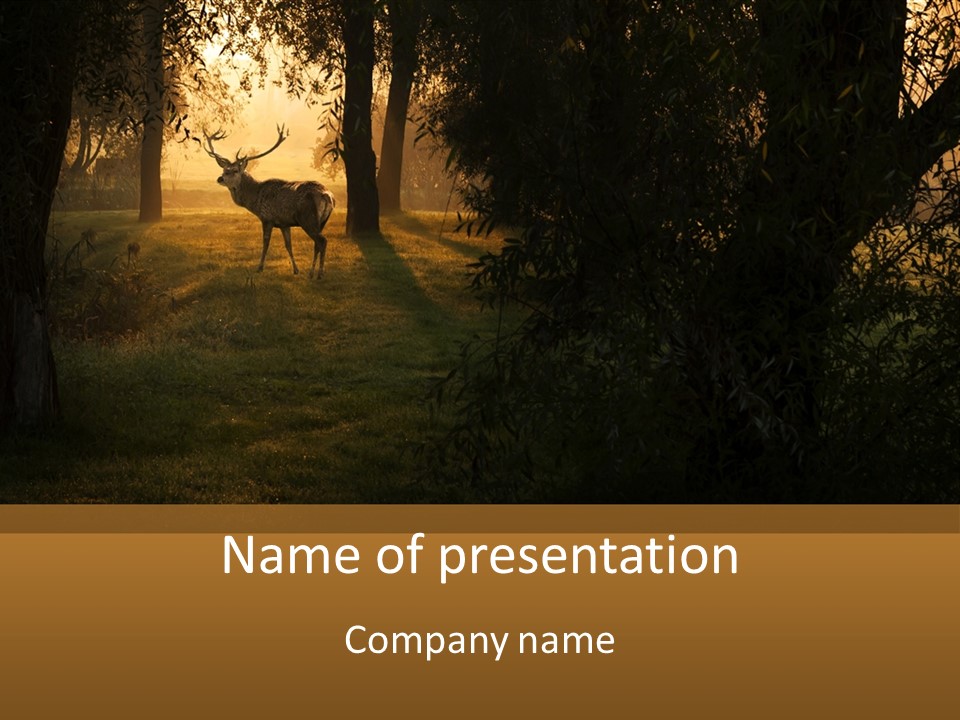 A Deer Standing In The Middle Of A Forest PowerPoint Template