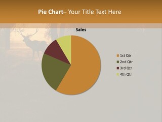 A Deer Standing In The Middle Of A Forest PowerPoint Template