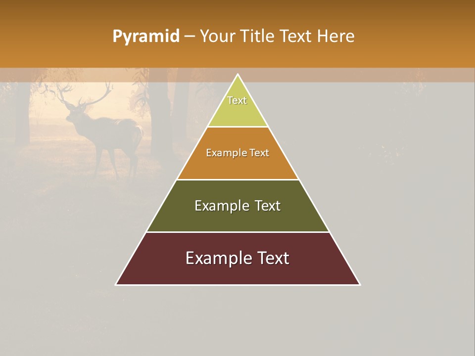A Deer Standing In The Middle Of A Forest PowerPoint Template