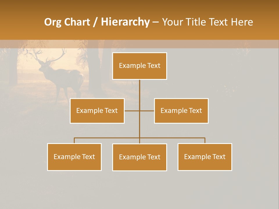 A Deer Standing In The Middle Of A Forest PowerPoint Template