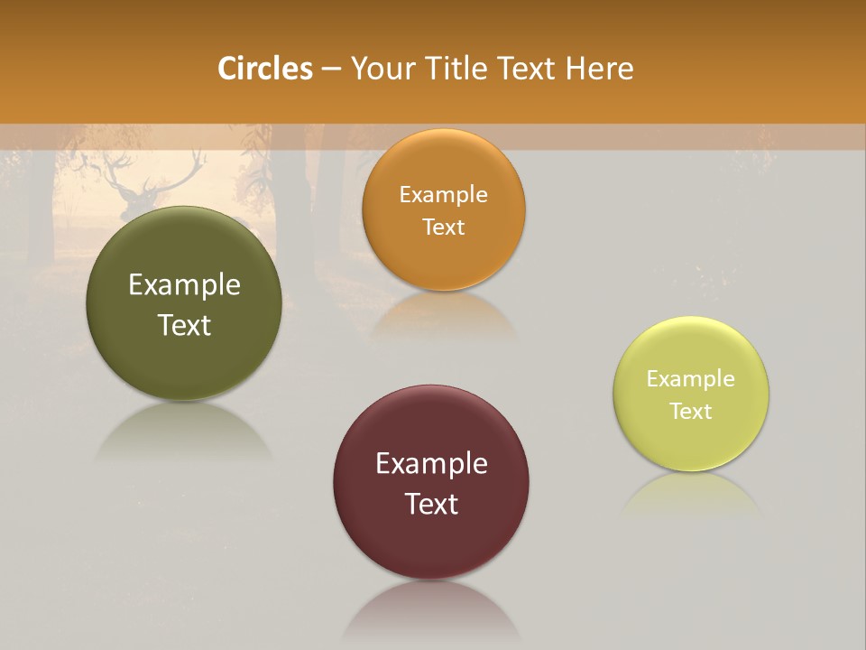 A Deer Standing In The Middle Of A Forest PowerPoint Template
