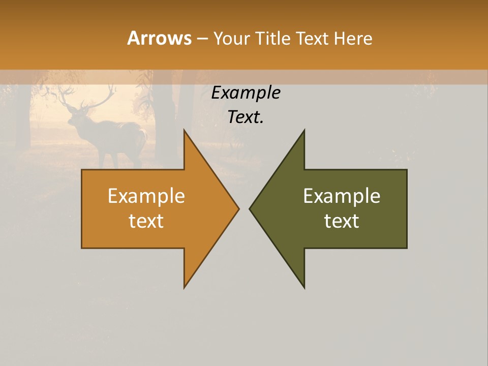A Deer Standing In The Middle Of A Forest PowerPoint Template