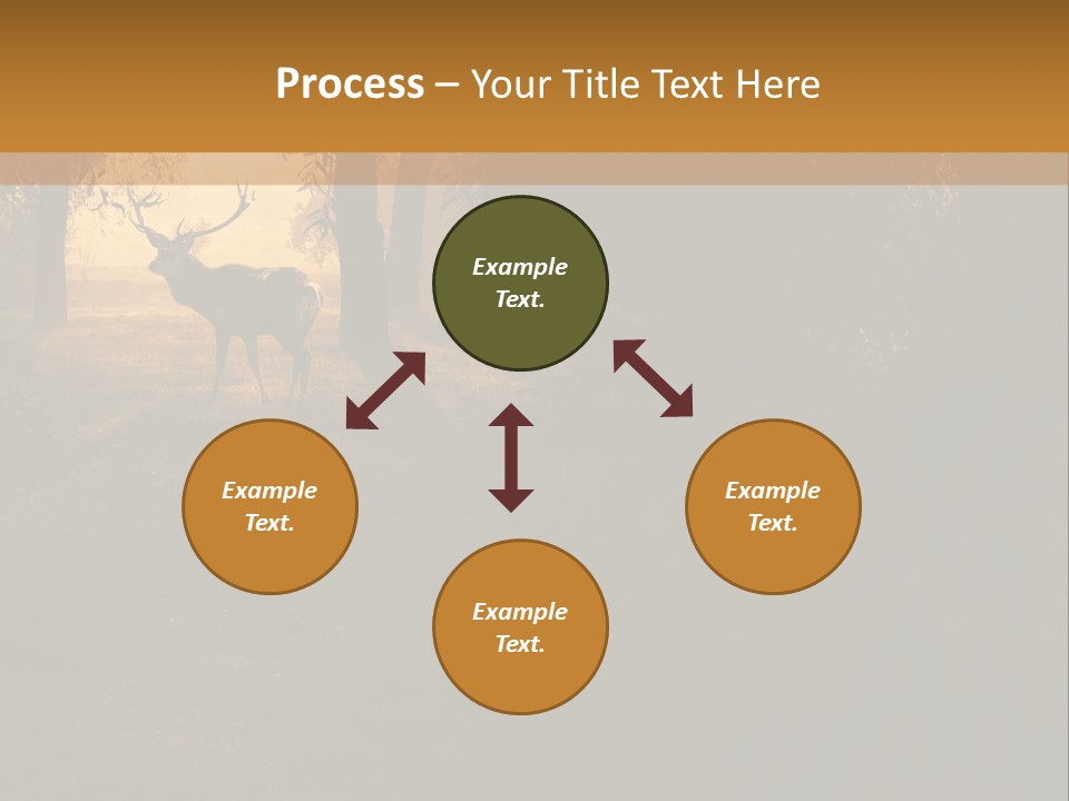 A Deer Standing In The Middle Of A Forest PowerPoint Template