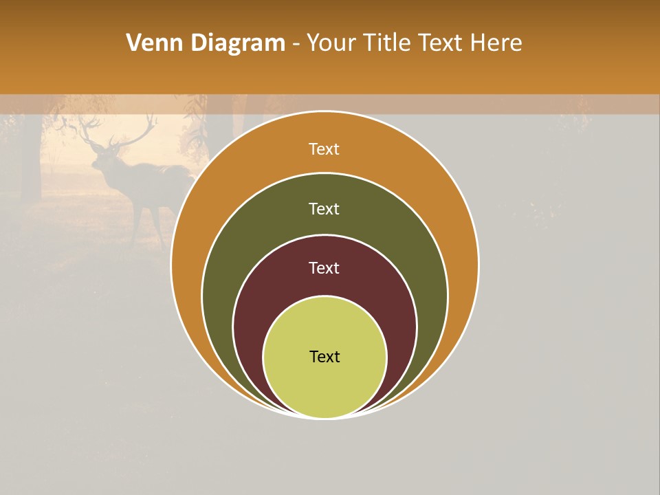 A Deer Standing In The Middle Of A Forest PowerPoint Template