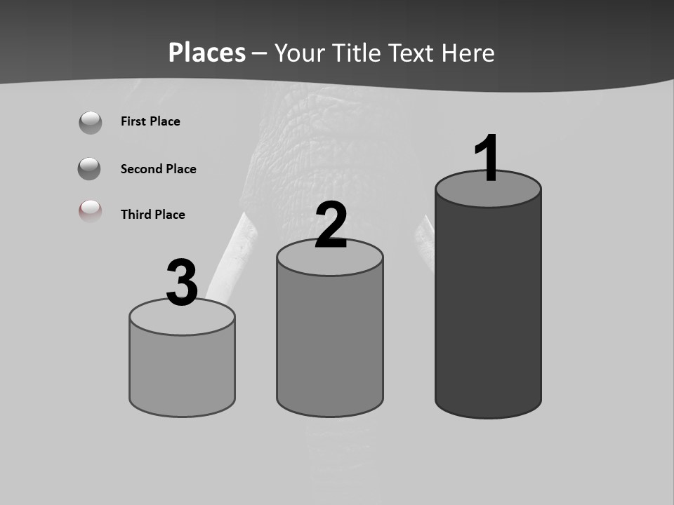 Dark Background Huge Elephant PowerPoint Template