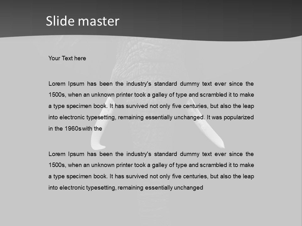 Dark Background Huge Elephant PowerPoint Template