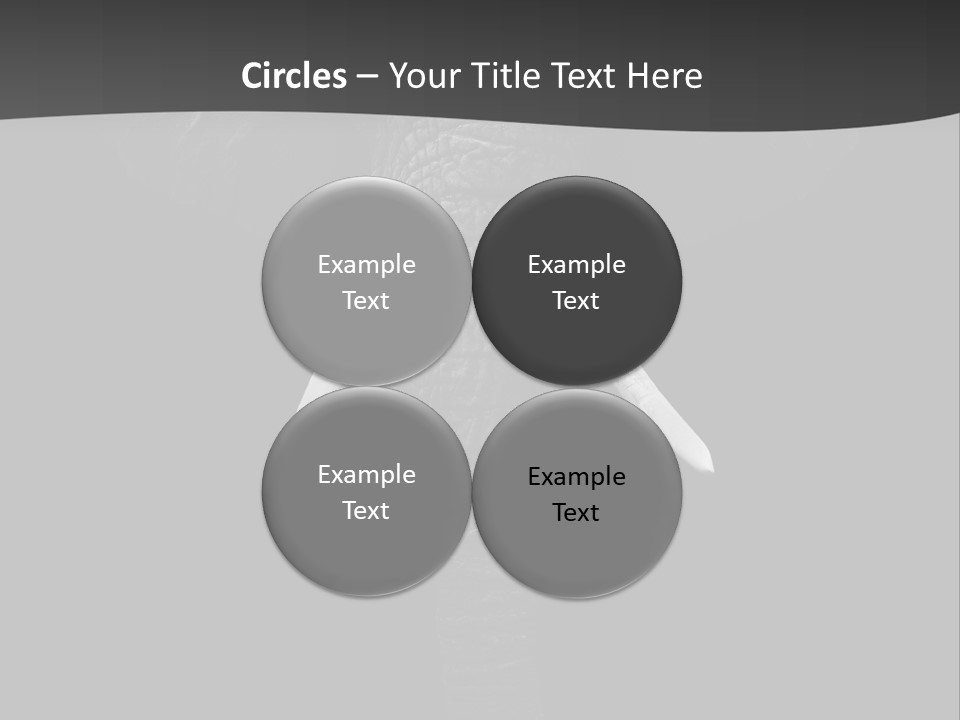 Dark Background Huge Elephant PowerPoint Template