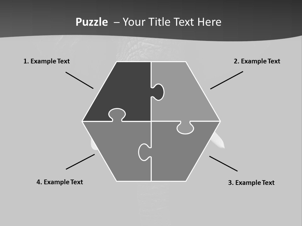 Dark Background Huge Elephant PowerPoint Template