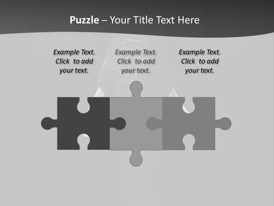 Dark Background Huge Elephant PowerPoint Template