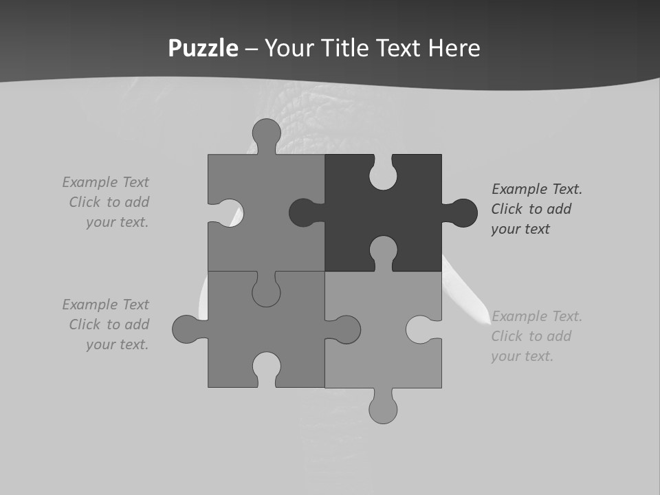 Dark Background Huge Elephant PowerPoint Template