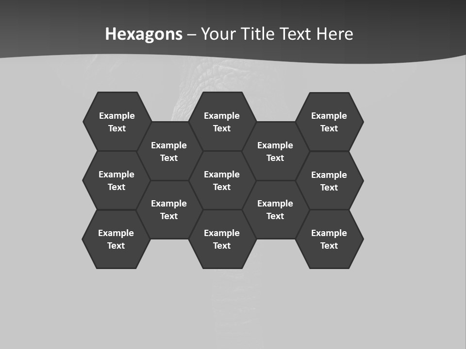 Dark Background Huge Elephant PowerPoint Template