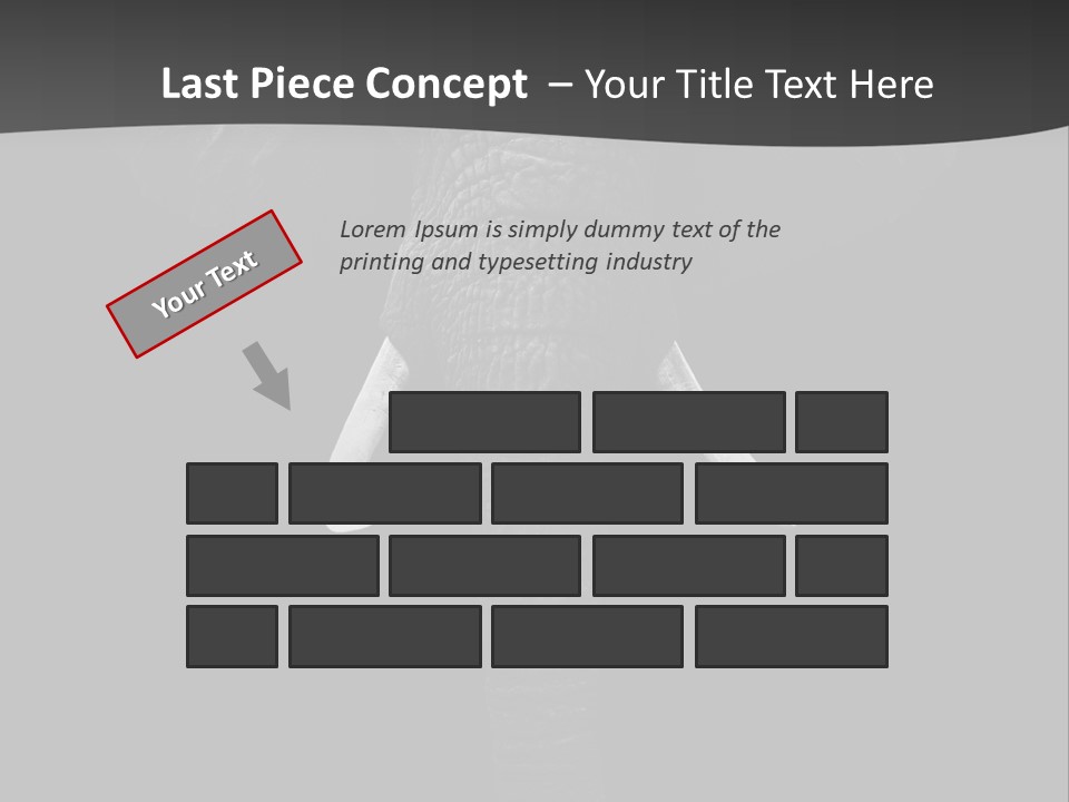 Dark Background Huge Elephant PowerPoint Template