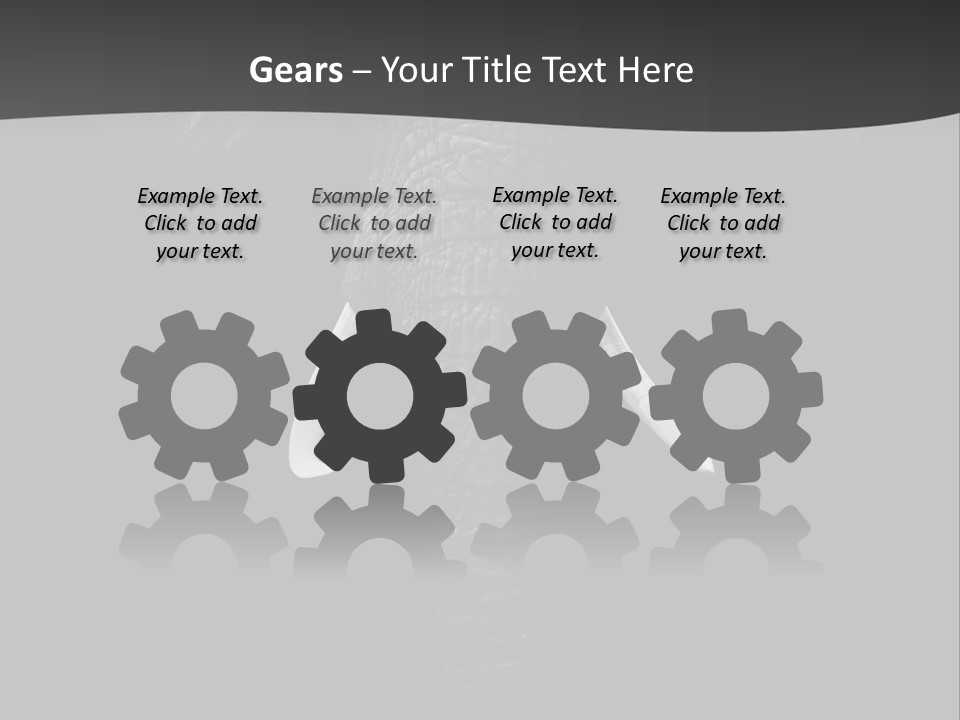 Dark Background Huge Elephant PowerPoint Template