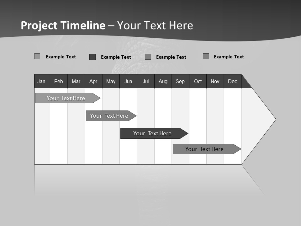 Dark Background Huge Elephant PowerPoint Template