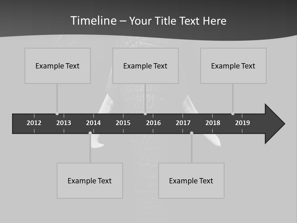 Dark Background Huge Elephant PowerPoint Template