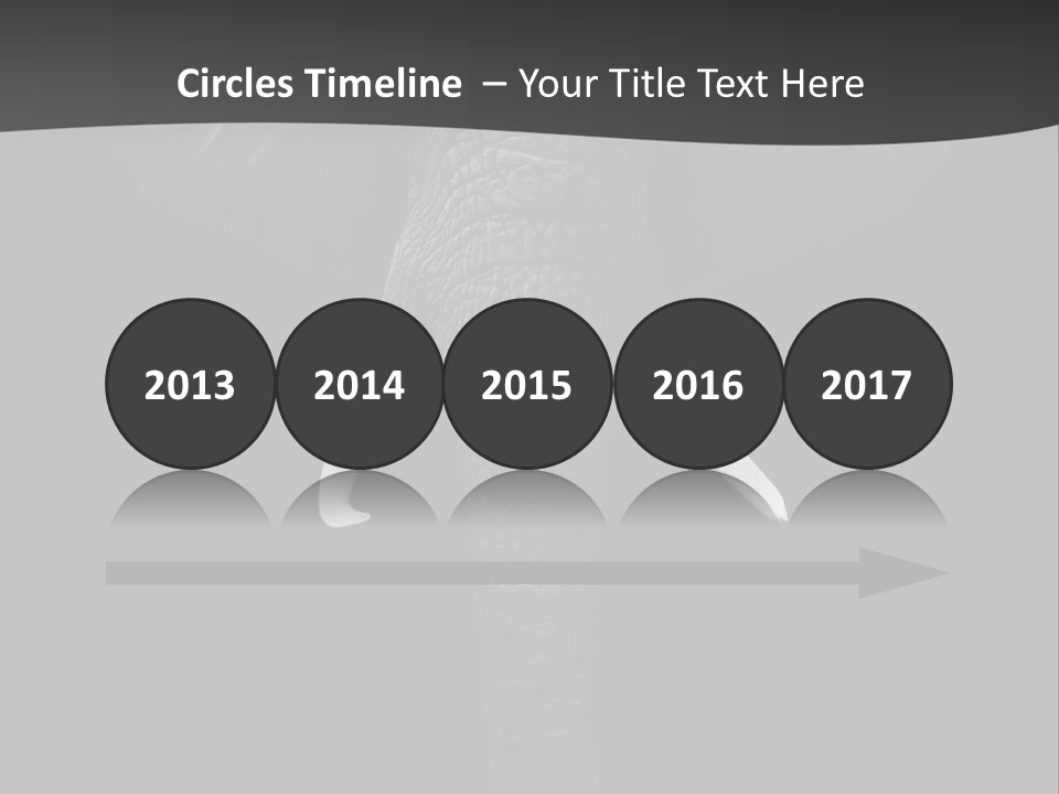 Dark Background Huge Elephant PowerPoint Template