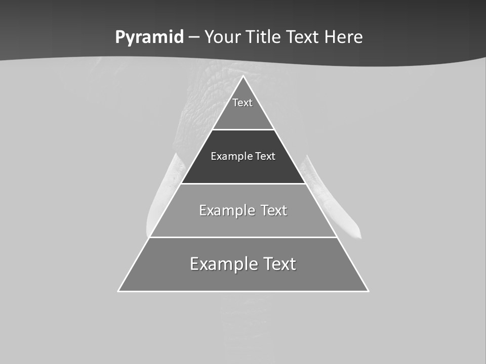 Dark Background Huge Elephant PowerPoint Template