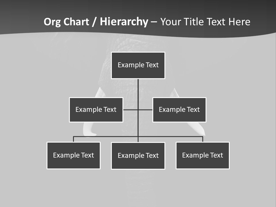 Dark Background Huge Elephant PowerPoint Template