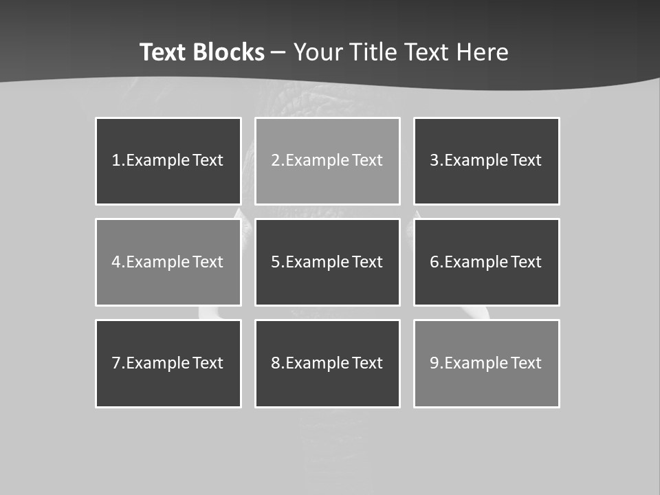 Dark Background Huge Elephant PowerPoint Template