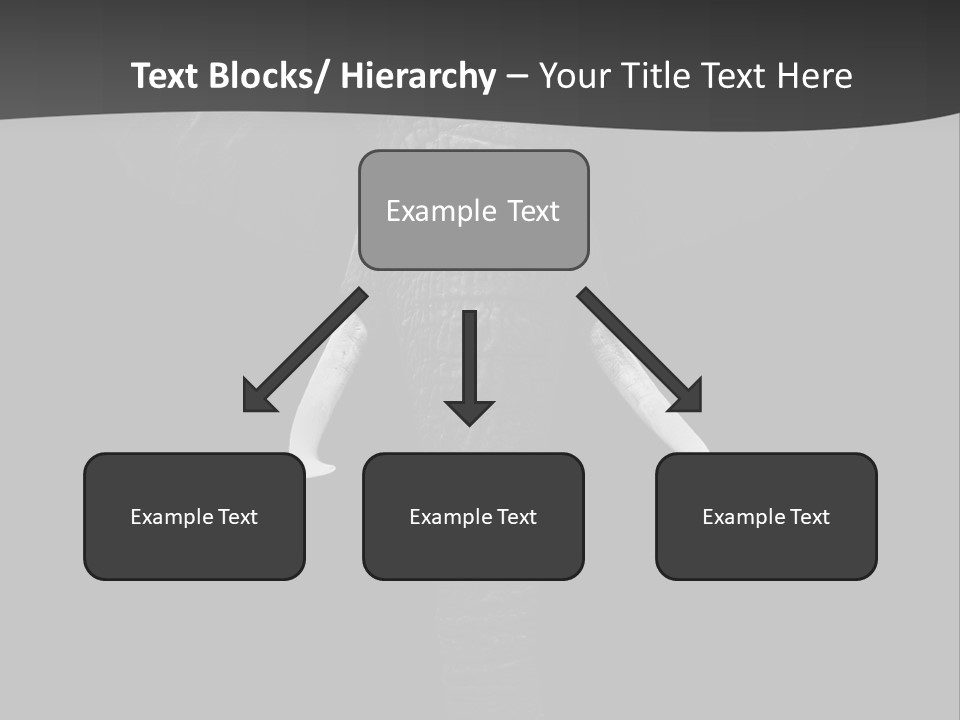 Dark Background Huge Elephant PowerPoint Template
