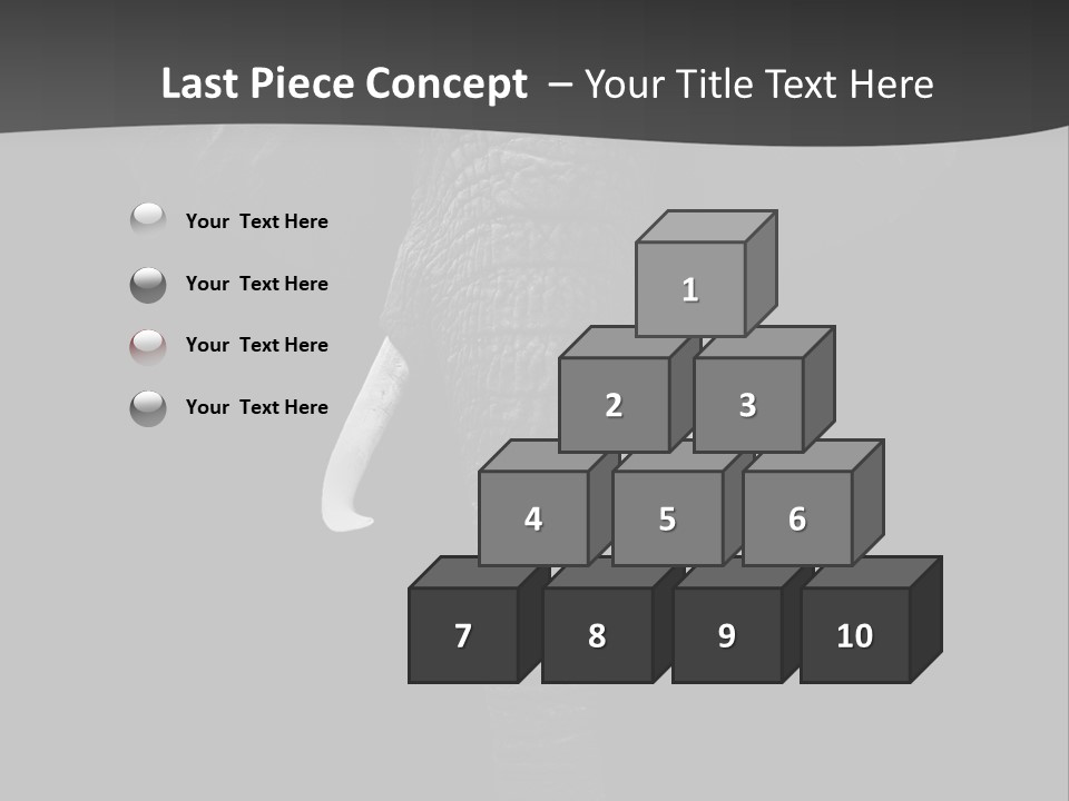 Dark Background Huge Elephant PowerPoint Template