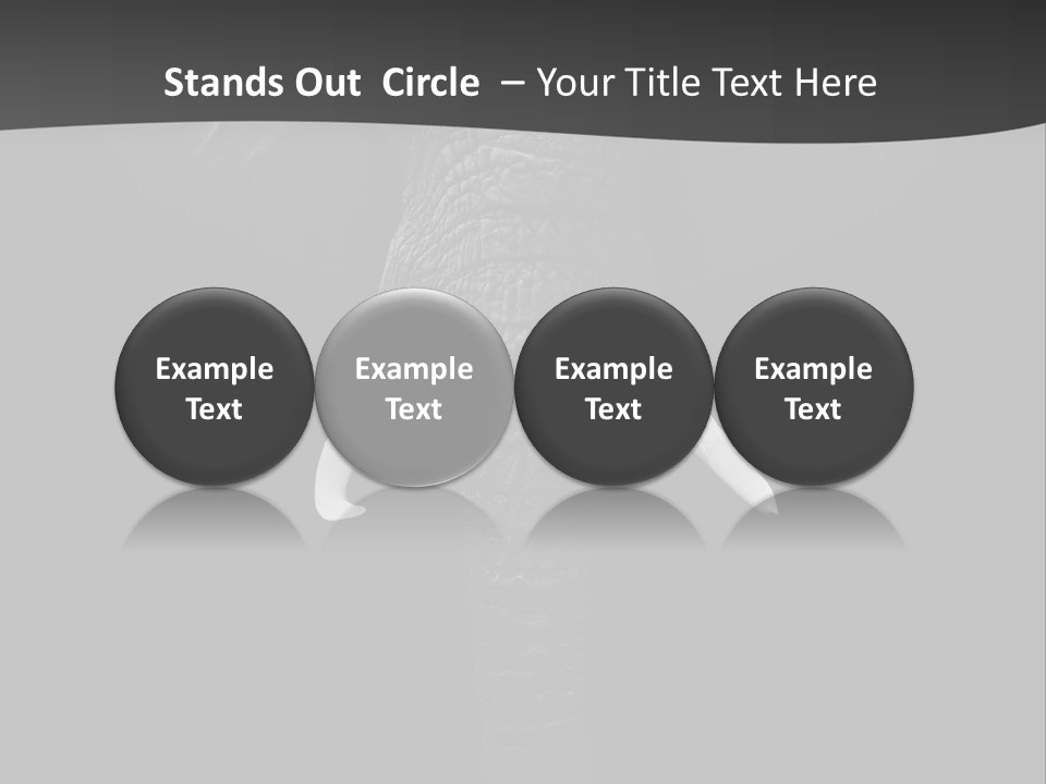 Dark Background Huge Elephant PowerPoint Template