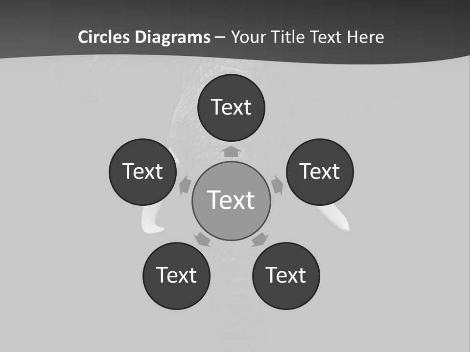 Dark Background Huge Elephant PowerPoint Template