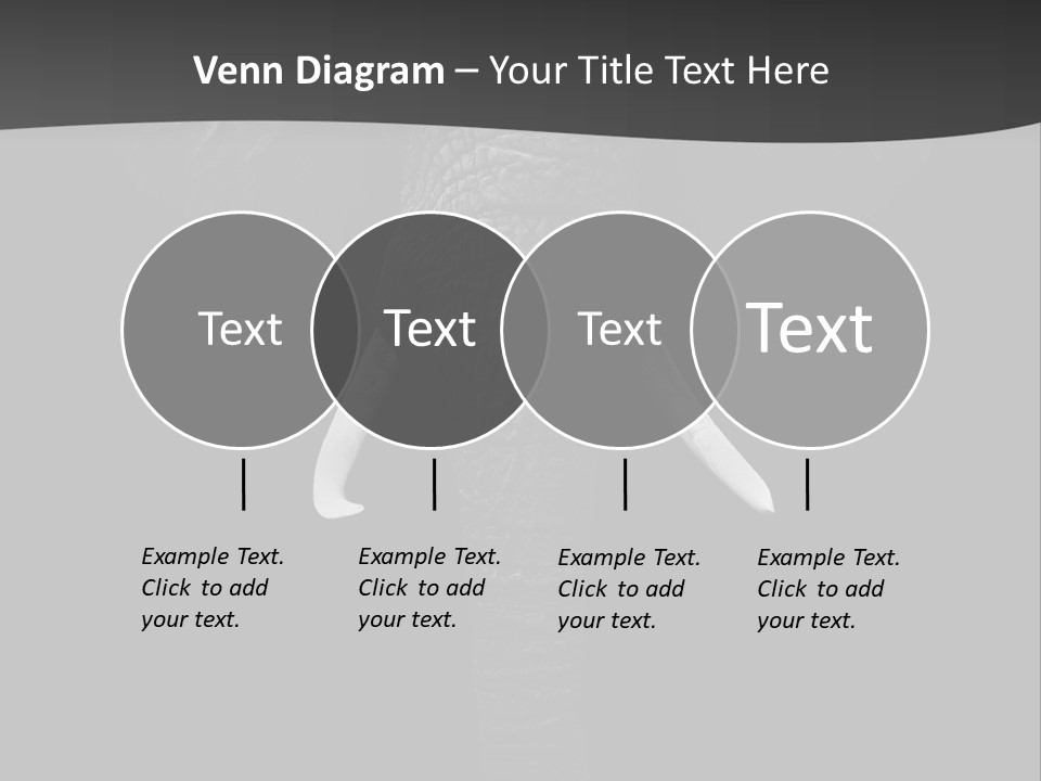 Dark Background Huge Elephant PowerPoint Template