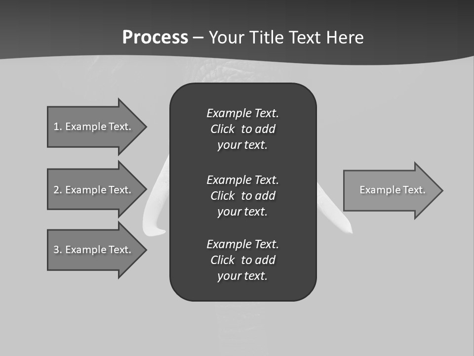 Dark Background Huge Elephant PowerPoint Template