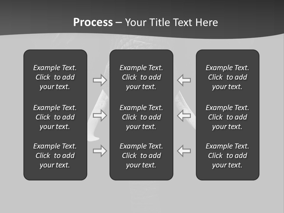 Dark Background Huge Elephant PowerPoint Template